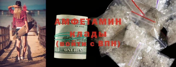 гидра Кодинск