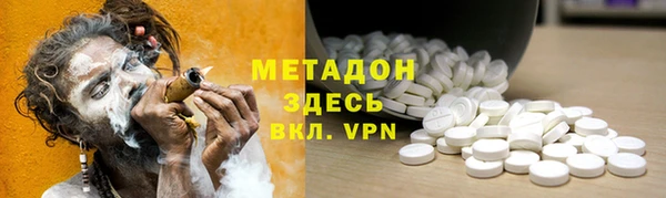 гидра Кодинск