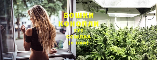 гидра Кодинск