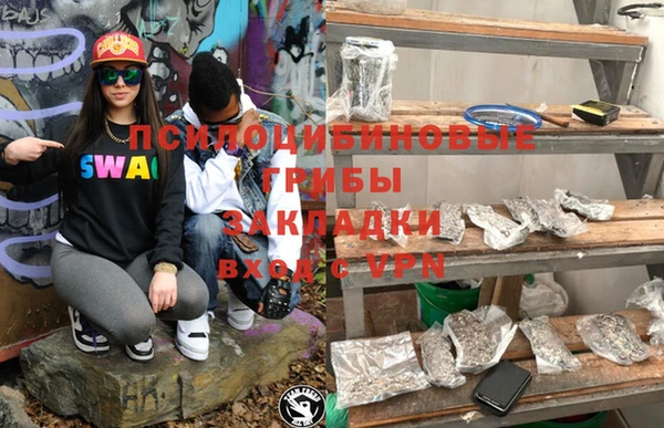 гидра Кодинск