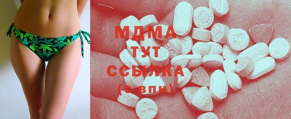 гидра Кодинск