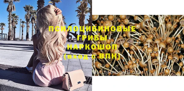 дурь Козловка