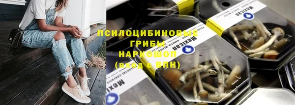 дурь Козловка